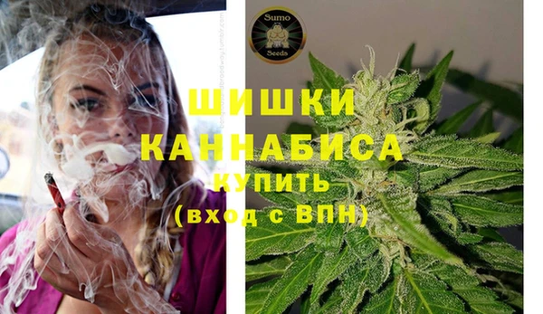 ALPHA PVP Корсаков